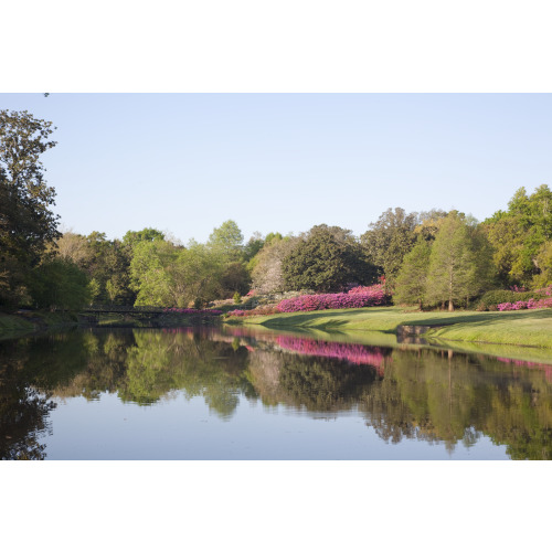Bellingrath Gardens And Home, Theodore, Alabama, View 25