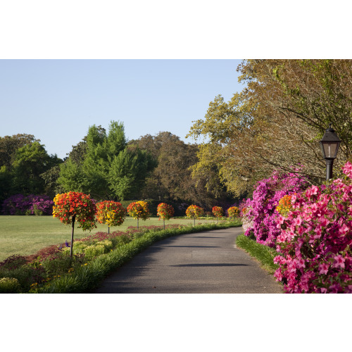 Bellingrath Gardens And Home, Theodore, Alabama, View 31