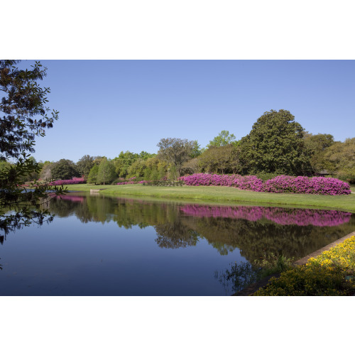Bellingrath Gardens And Home, Theodore, Alabama, View 41