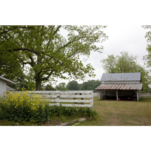 Meadowbank Farm on the Alabama River, View 26