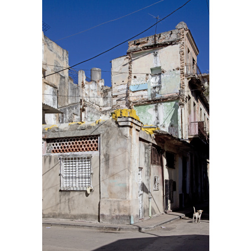Typical Small Neighborhood Street Showing Decay And Stray Dogs, Havana, Cuba, 2010