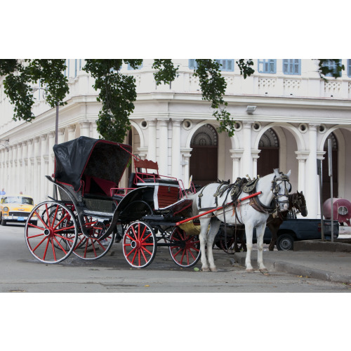 Horse And Buggy In Old Havana, Cuba
