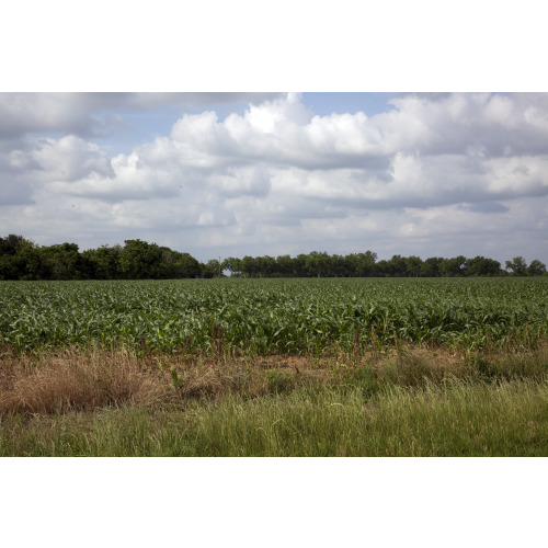 Rural Scenes, Baldwin County, Alabama, View 5