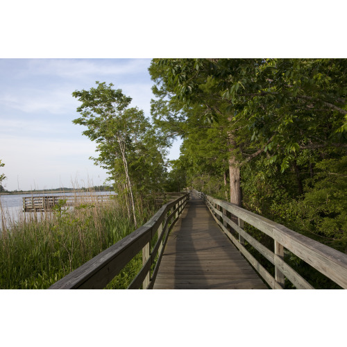 Blakeley State Park on the Tensaw River, Alabama, View 6