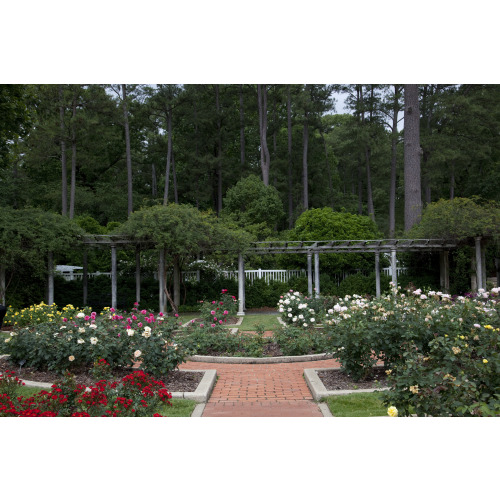 Birmingham Botanical Gardens, Birmingham, Alabama, View 3