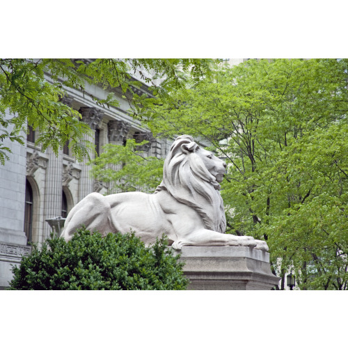 Lion Sculpture, New York Public Library, New York, New York