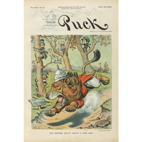 Puck Magazine, The Hunters Didn't Expect A Live Lion, 1900