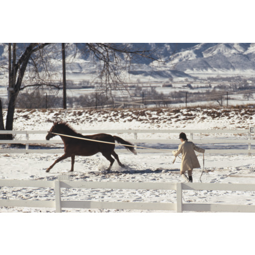 Ann Bonfoey Taylor Training A Horse On A Longe (Lunge) Line, Mountains In Background, Colorado, 1967