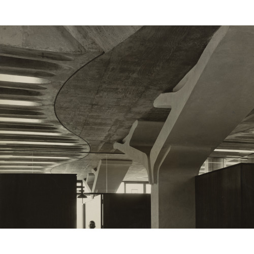 Greeley Memorial Laboratory, Yale University, New Haven, Connecticut. View Of Ceiling And...
