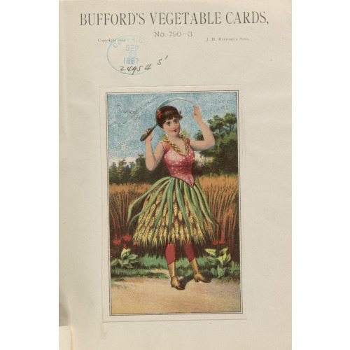 Bufford's Vegetable Cards, No. 790-3 Wheat, 1887