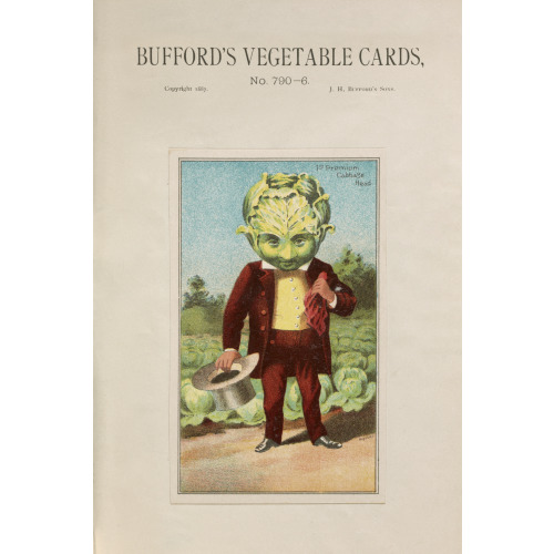 Bufford's Vegetable Cards, No. 790-6 Cabbage, 1887