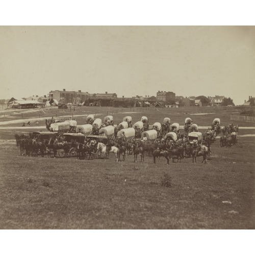 Wagon Train Of U.S. Military Telegraph Corps, Richmond, Va., April, 1865