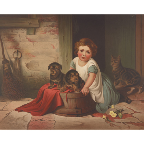 Small Girl Leaning Against An Overturned Wash Tub On Which Two Puppies Have Been Placed; A Cat...