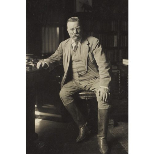 Theodore Roosevelt In His Library At Oyster Bay, 1912