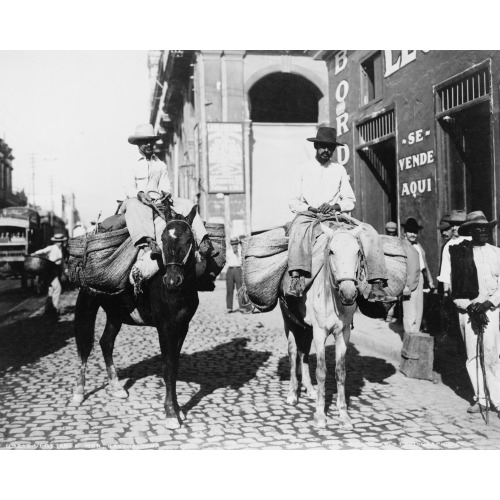 Vegetable Men, Havana, Cuba, 1904