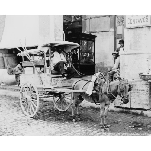 Fruit Vender's Sic Cart, Havana, Cuba, 1904