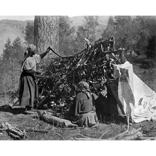 Drying Meat--Flathead, 1910