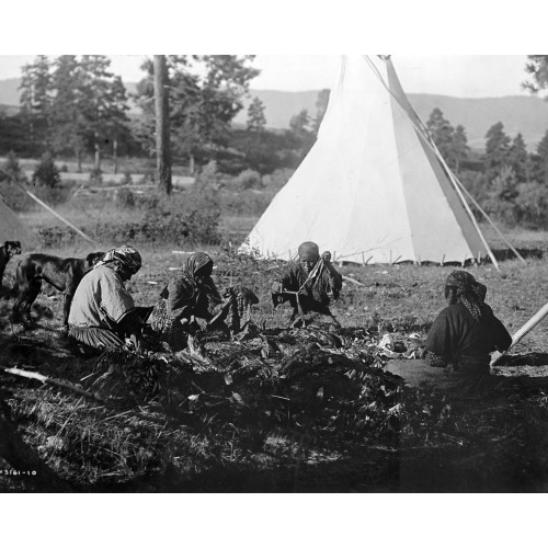 Jerking Meat--Flathead, 1910