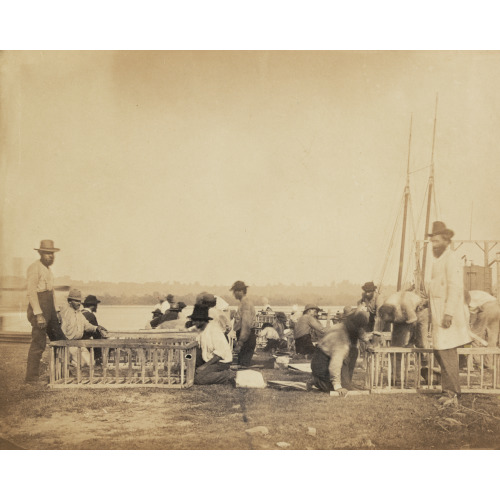 Making Frames For Blanket Boats By The Potomac River, 1862