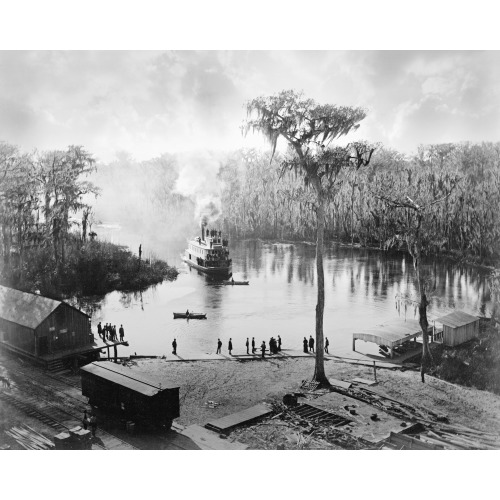 Steamboat Approaching Dock, Silver Springs, Florida, 1886