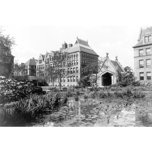 University Of Chicago, Lily Pond, Chicago, Illinois, circa 1890