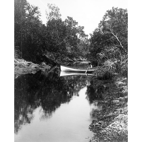 Florida--Miami River, Rapids, 1905