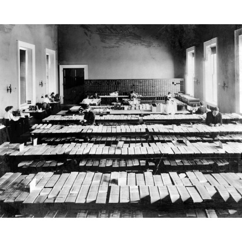 Working In Card Division, Library Of Congress, Washington, D.C.