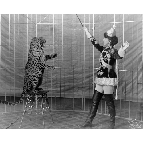 Vallecita's Leopards, 1906