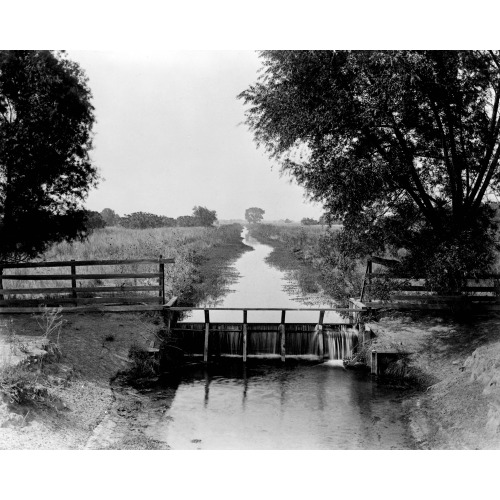 Greenfields Ranch--A Drop In The Kern Island Canal, 1888