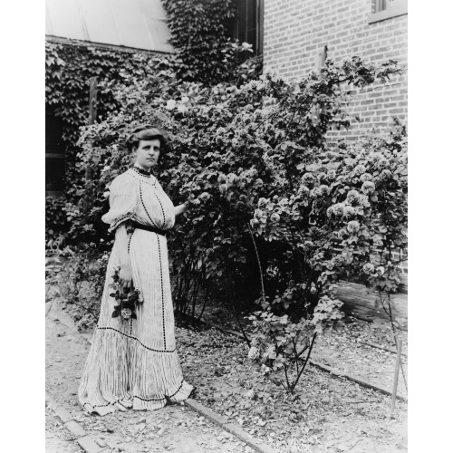 Frances Benjamin Johnston, By Rose Bushes, circa 1890-1910