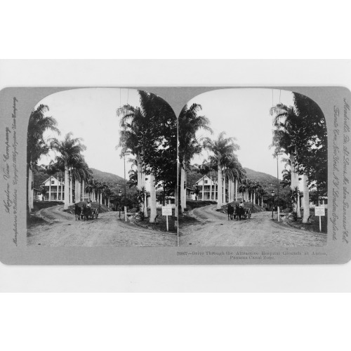 Drive Through The Attractive Hospital Grounds At Ancon, Panama Canal Zone, 1906