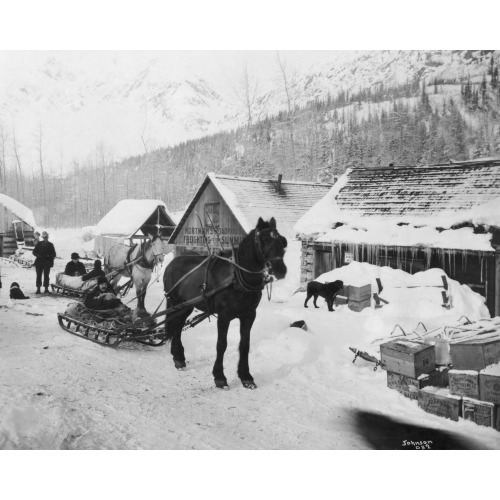 Horses Pulling Sleds On The Valdez Trail, circa 1900