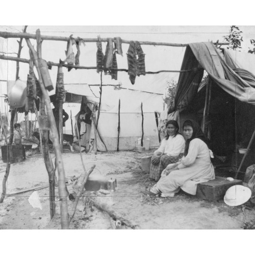 Eskimos Waiting For Breakfast, 1916