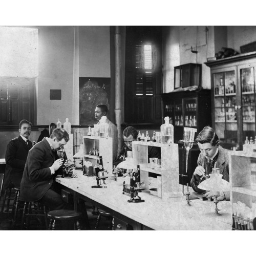 Howard University, Washington, D.C., Bacteriology Lab, 1900